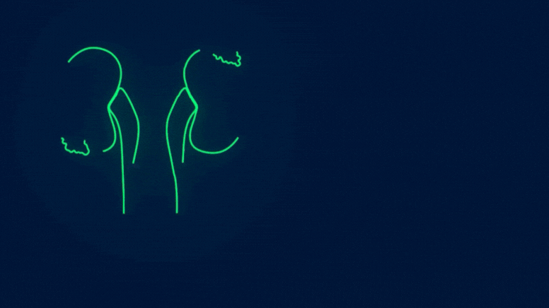 ¿Y qué hice ante los primeros síntomas?