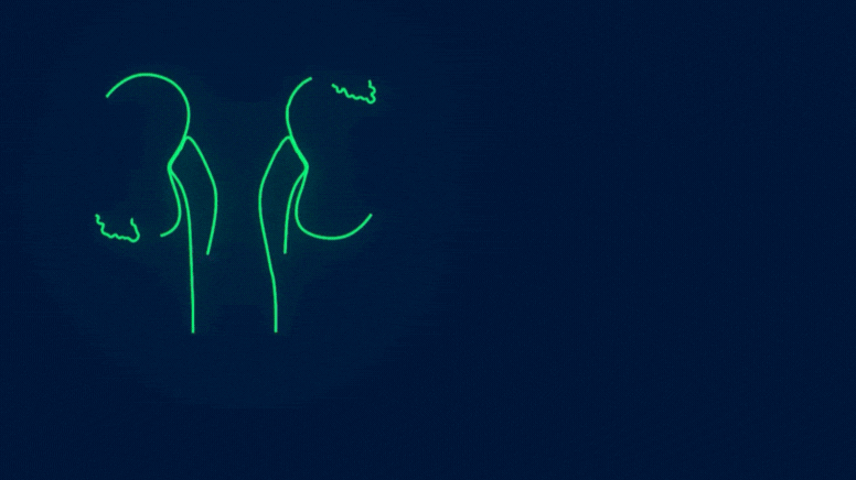 ¿He ayudado en otras campañas?